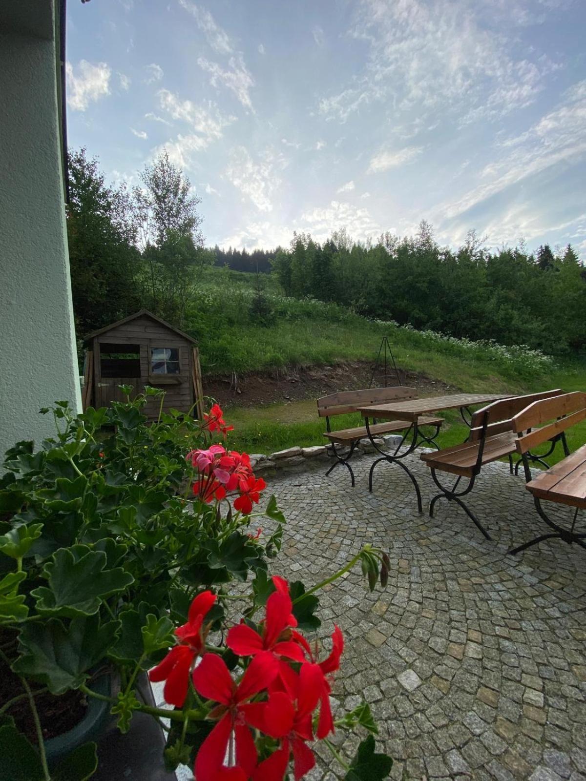 Appartement Pod Orlica à Duszniki Zdrój Extérieur photo