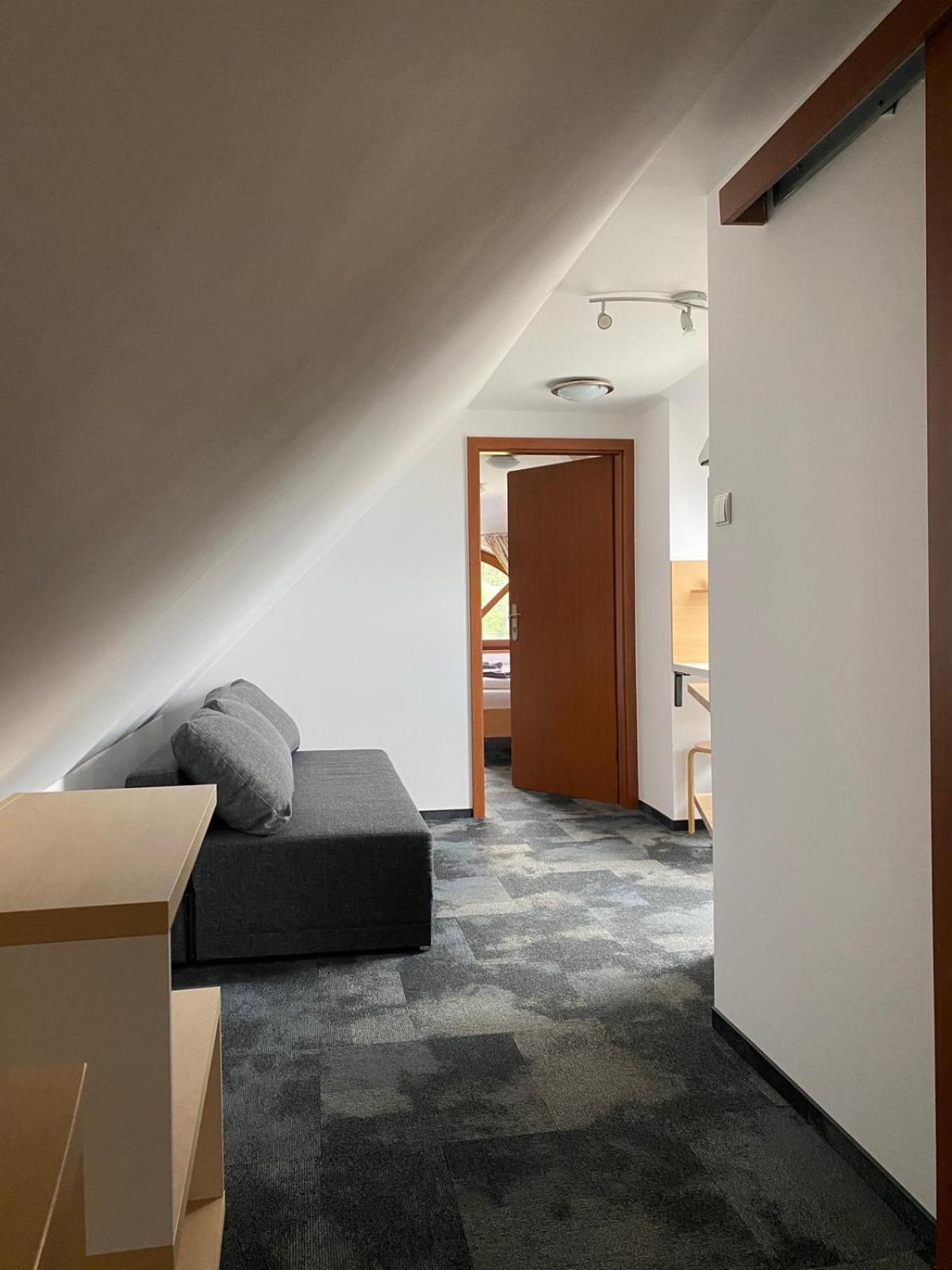 Appartement Pod Orlica à Duszniki Zdrój Extérieur photo