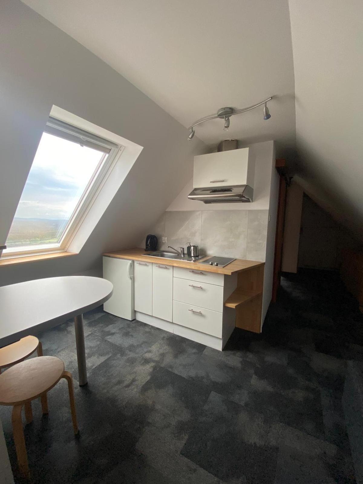 Appartement Pod Orlica à Duszniki Zdrój Extérieur photo